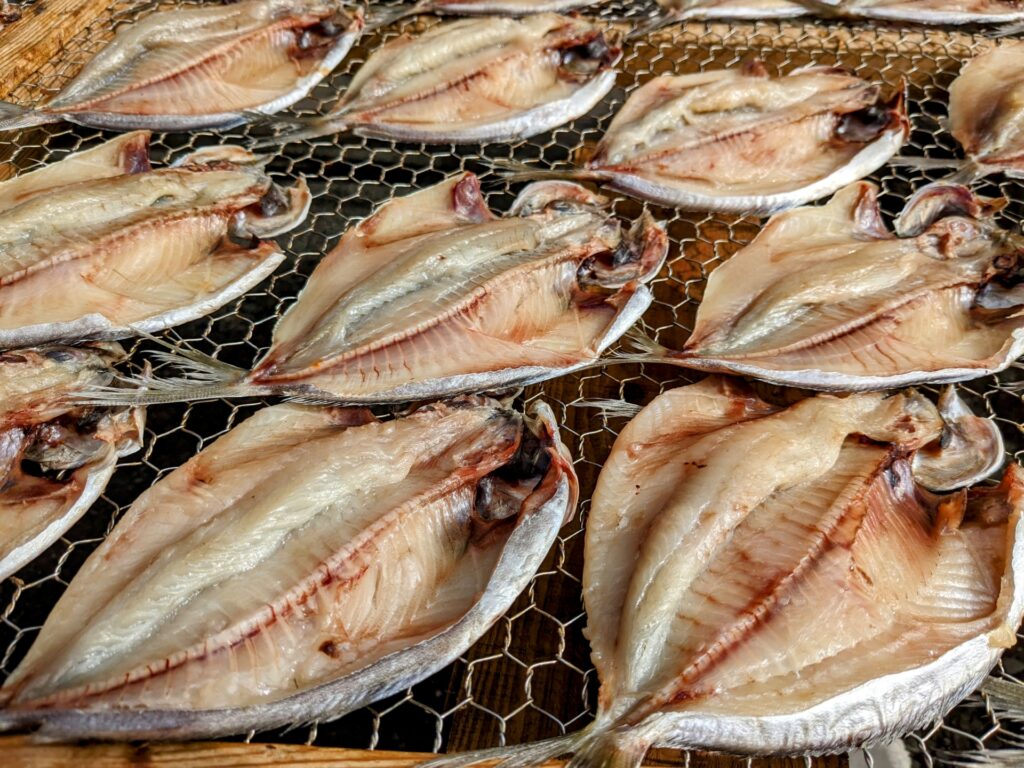 干し網の上に並べられたアジの開き干物