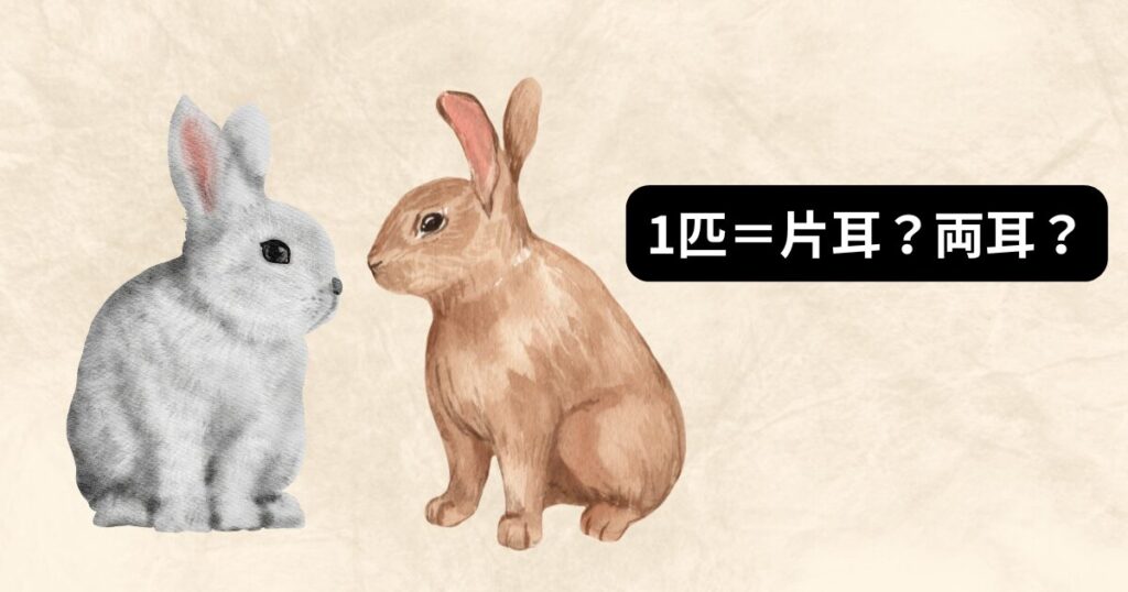 茶色と黒色の2匹のウサギと、「1匹＝片耳？両耳？」という文字入りの黒い吹き出し