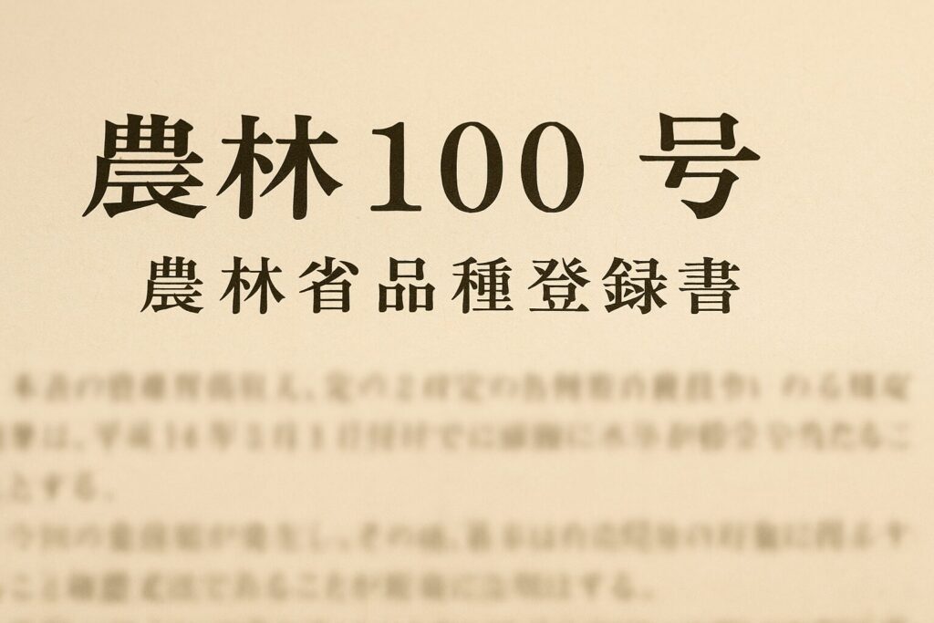「農林100号」と大きく書かれた農林省品種登録書のクローズアップ写真