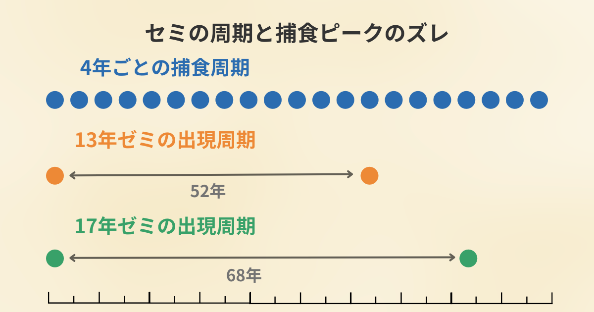 4年ごとに訪れる捕食ピークと、13年・17年周期のセミ出現が重なりにくいことを示したタイムライン図